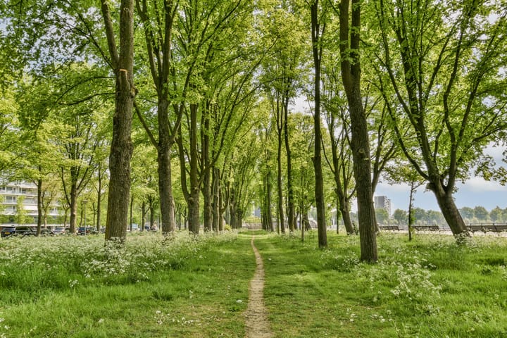 Foto 16 van Burgemeester Hogguerstraat 389