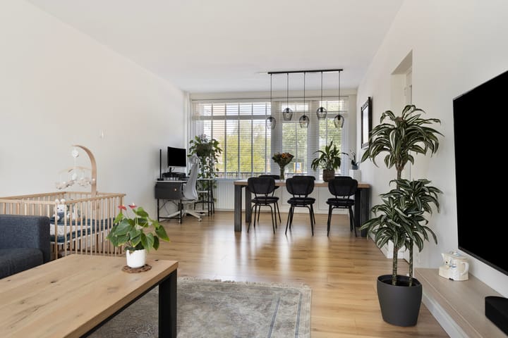 Foto 7 van Socratesstraat 229