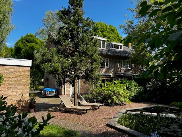 Foto 30 van Meyerijplein 1