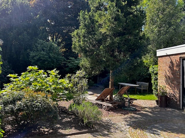 Photo 42 of Meyerijplein 1