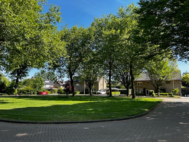 Photo 40 of Meyerijplein 1