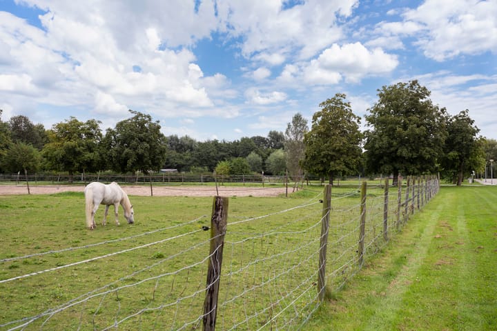 Foto 29 van Woldplantsoen 13