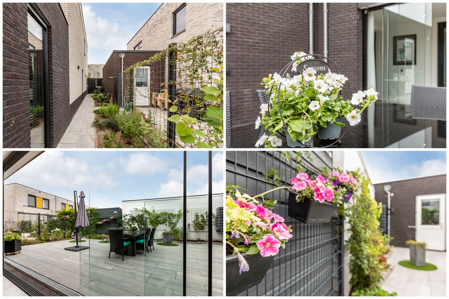 Photo 40 of Ereprijs 6