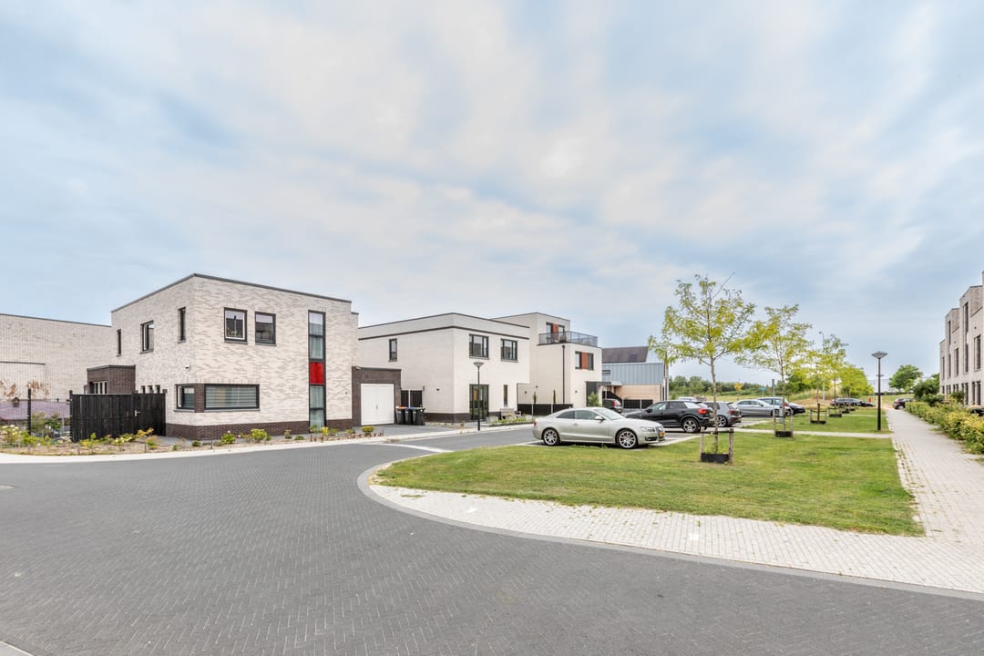 Photo 46 of Ereprijs 6