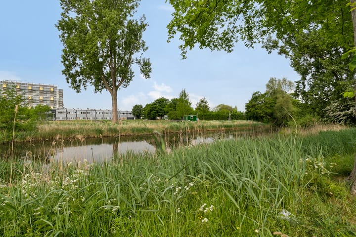 Foto 27 van Langswater 376