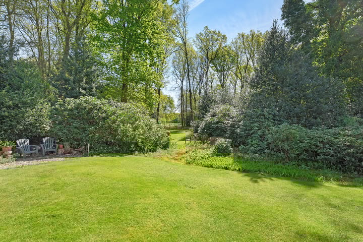 Photo 5 of Bosrand 8