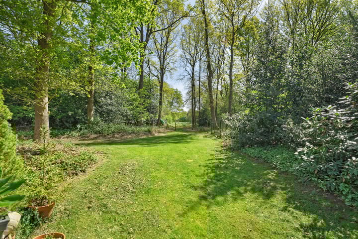 Foto 54 van Bosrand 8