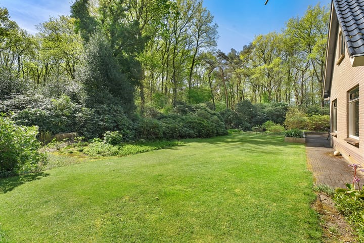 Foto 56 van Bosrand 8