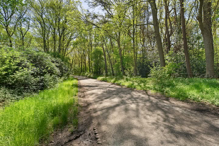 Foto 59 van Bosrand 8