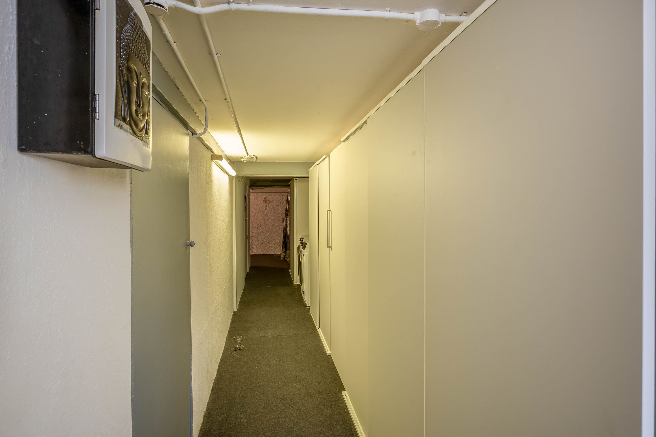 Foto 36 van Cartesiusstraat 15-B