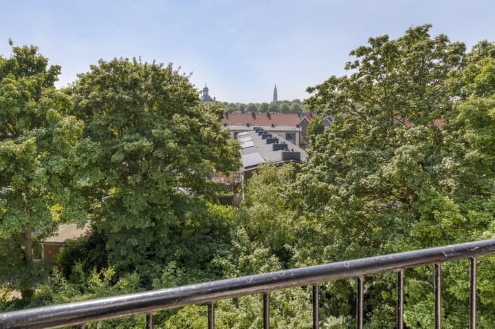 Foto 2 van Nassaulaan 125