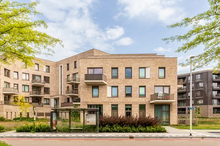 Photo 6 of Ponte di Rialto 41