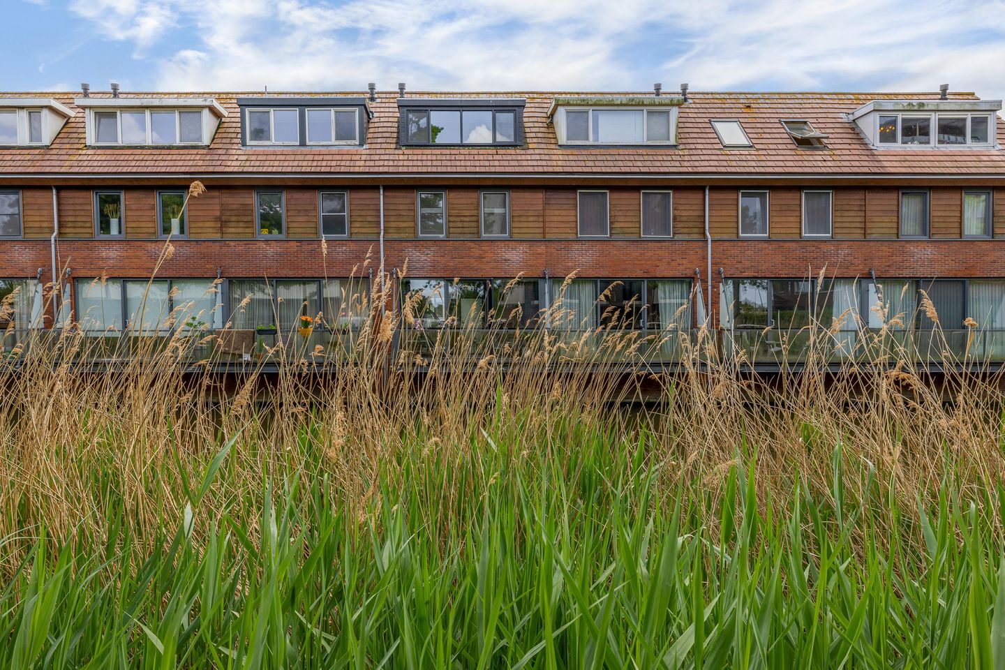 Foto 40 van Flatusstraat 109