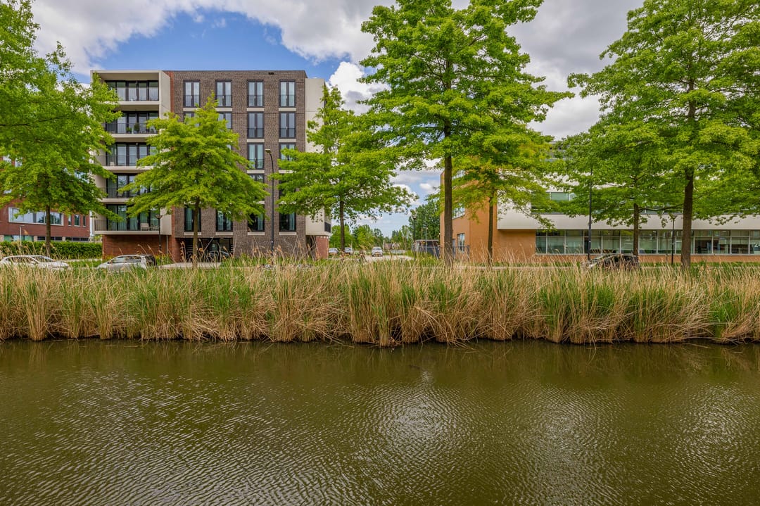 Foto 41 van Flatusstraat 109