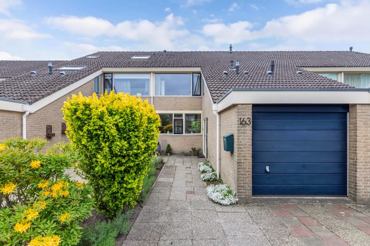 Foto 3 van Dieptol 163