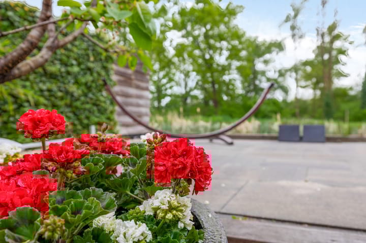 Foto 43 van Bermweg 78