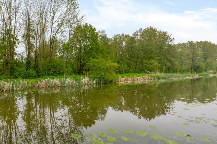 Foto 50 van Bermweg 78