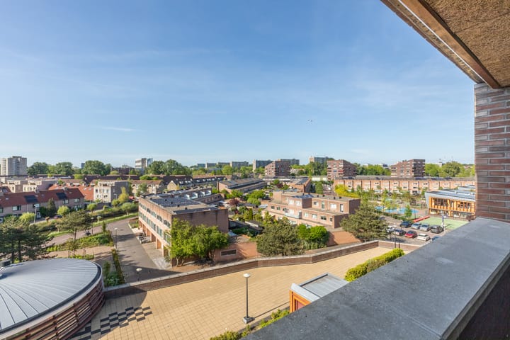 Photo 31 of Pieter Calandlaan 584