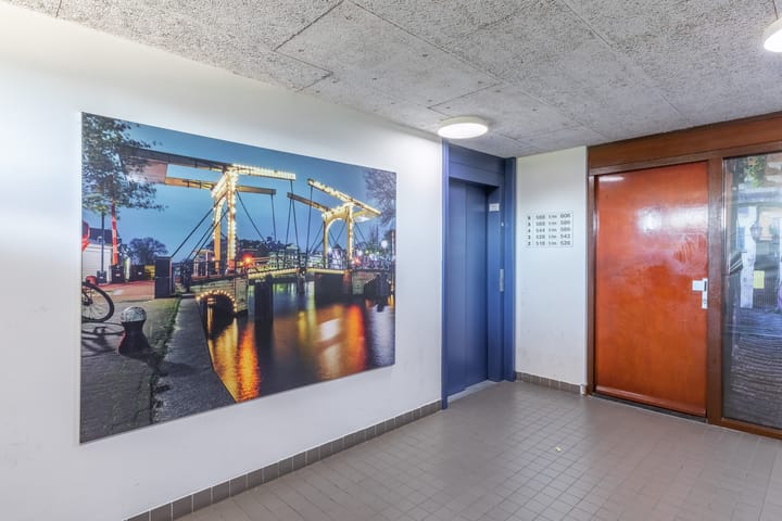 Photo 34 of Pieter Calandlaan 584