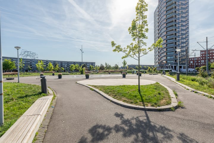 Photo 39 of Pieter Calandlaan 584