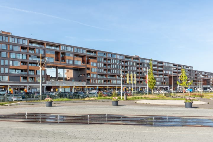 Photo 40 of Pieter Calandlaan 584