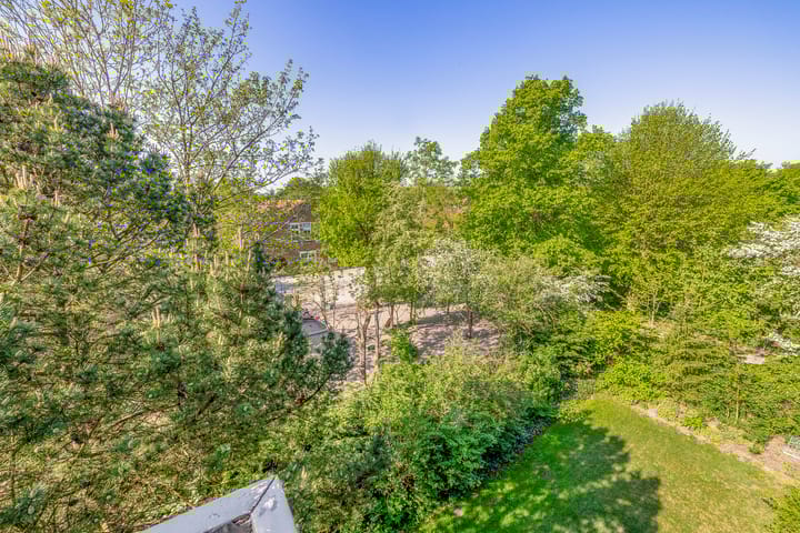 Foto 20 van Dompvloedslaan 126