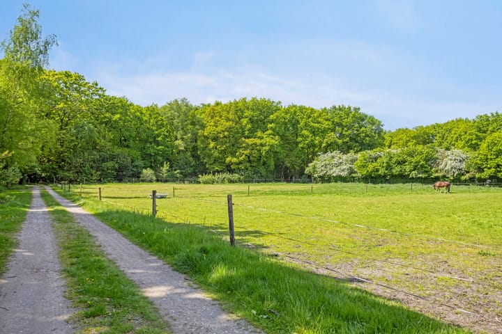 Foto 71 van Oranjeweg 12-B