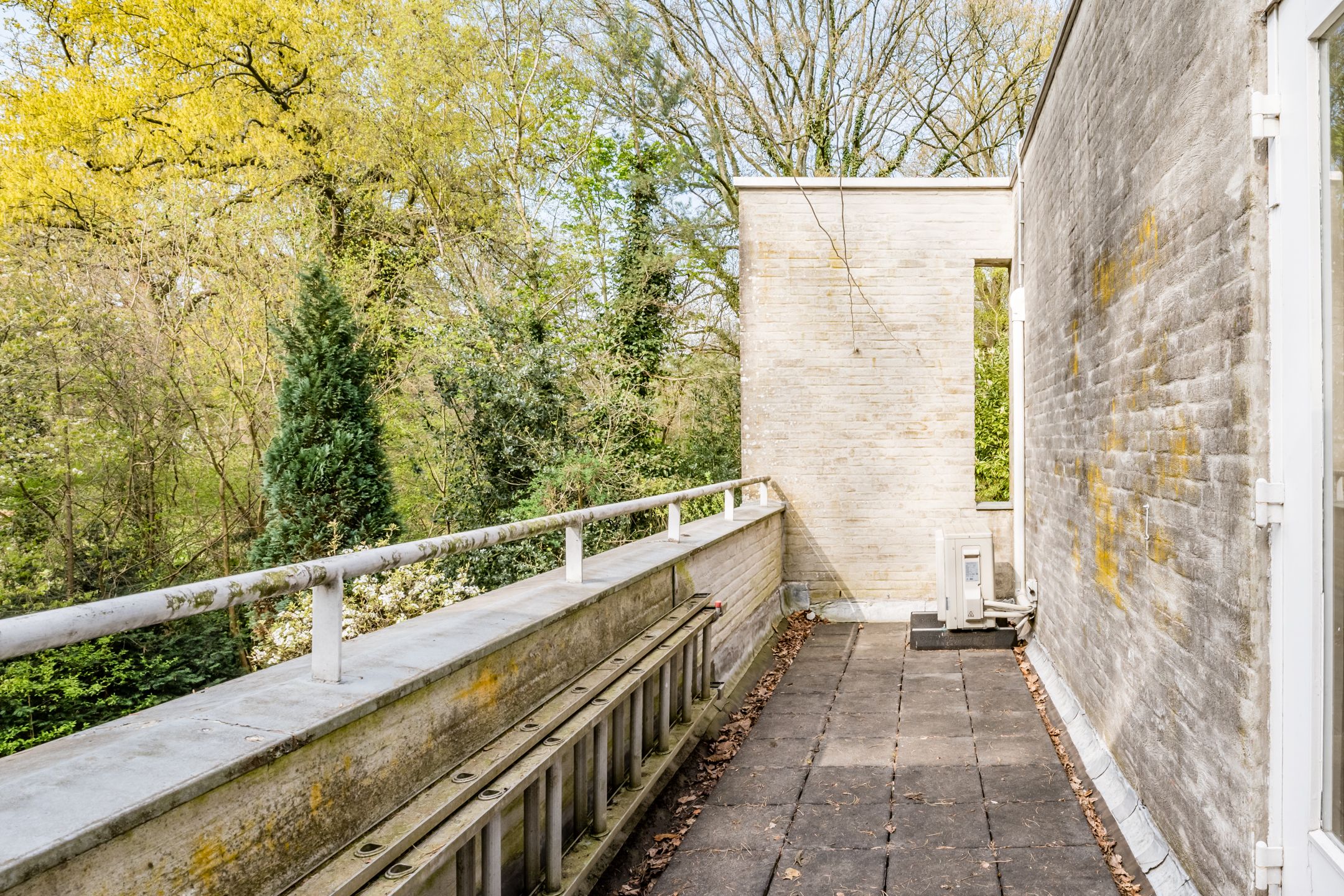 Foto 21 van Top Naeffdreef 71