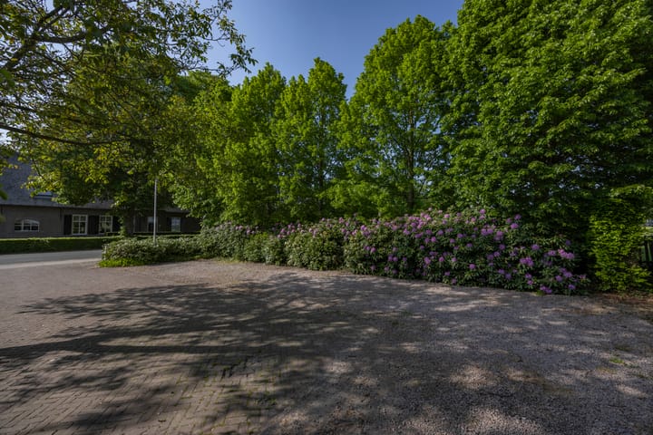 Foto 48 van Molenstraat 13