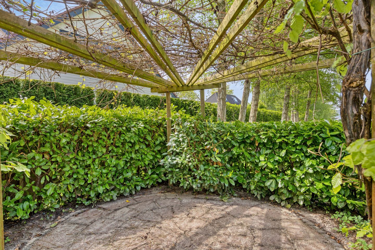 Foto 44 van Dokter Mansholtweg 6