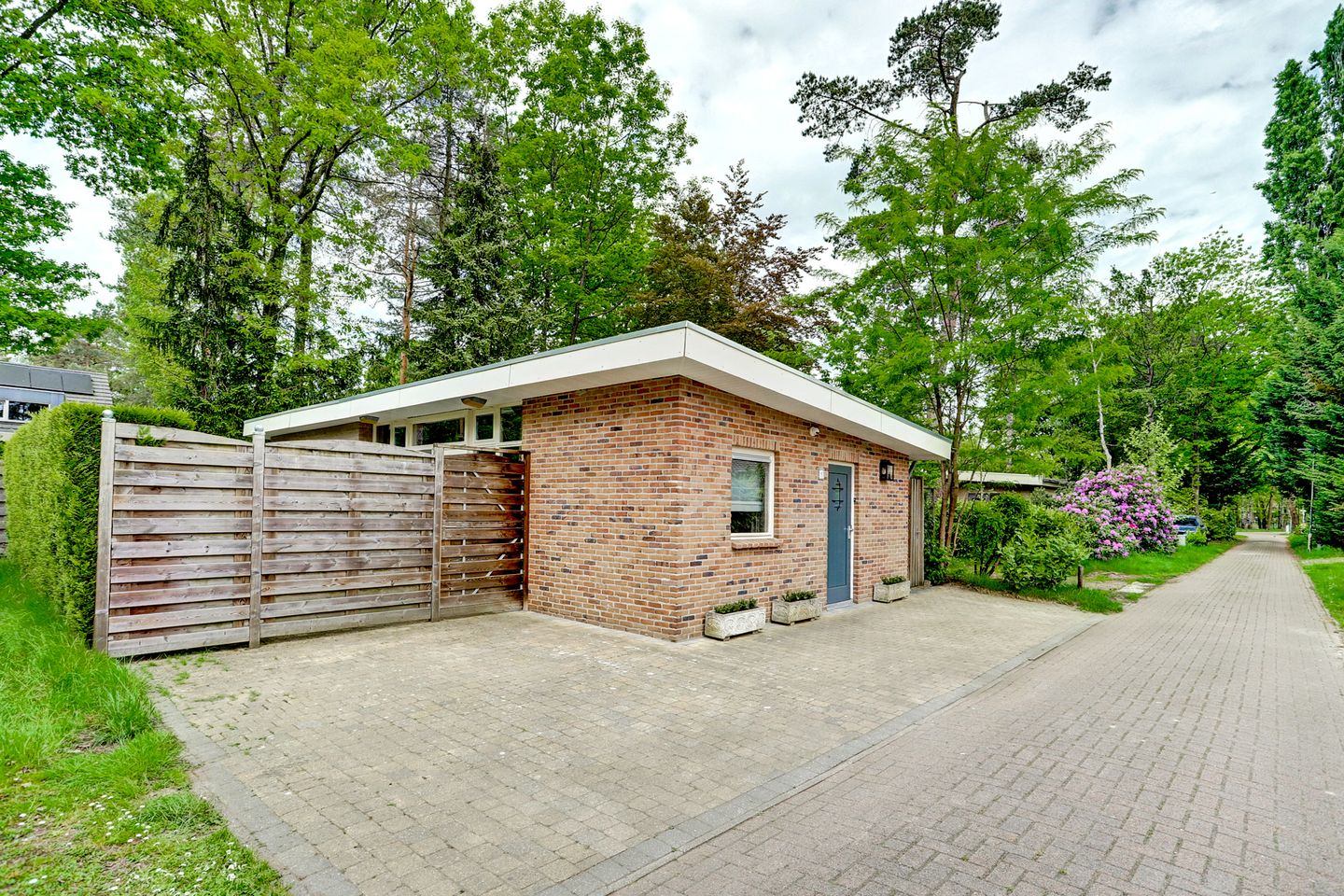 Foto 1 van Schaluinen 11-B433