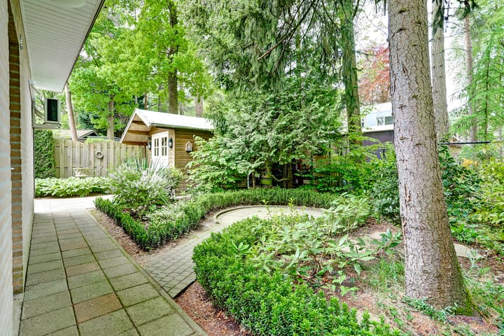 Foto 3 van Schaluinen 11-B433