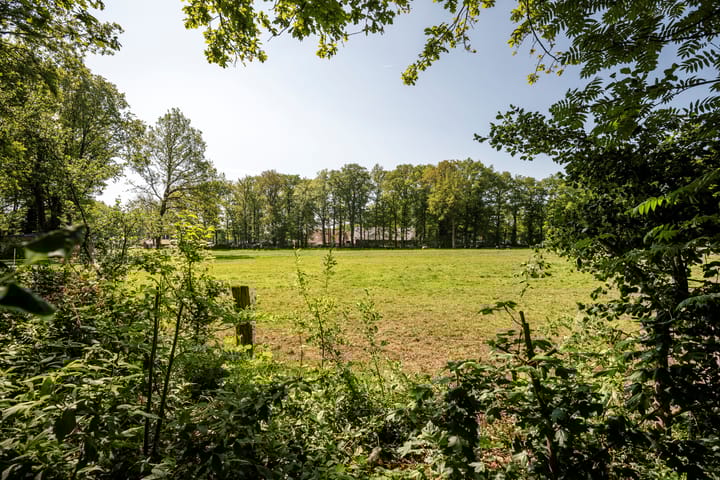 Foto 9 van Wittebergweg 18-C10