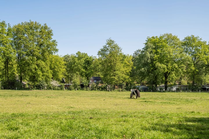 Foto 11 van Wittebergweg 18-C10