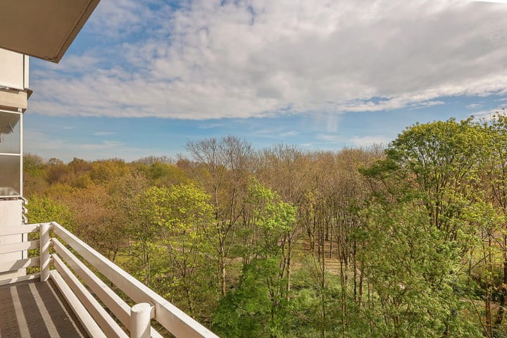 Foto 6 van Nachtwachtlaan 357