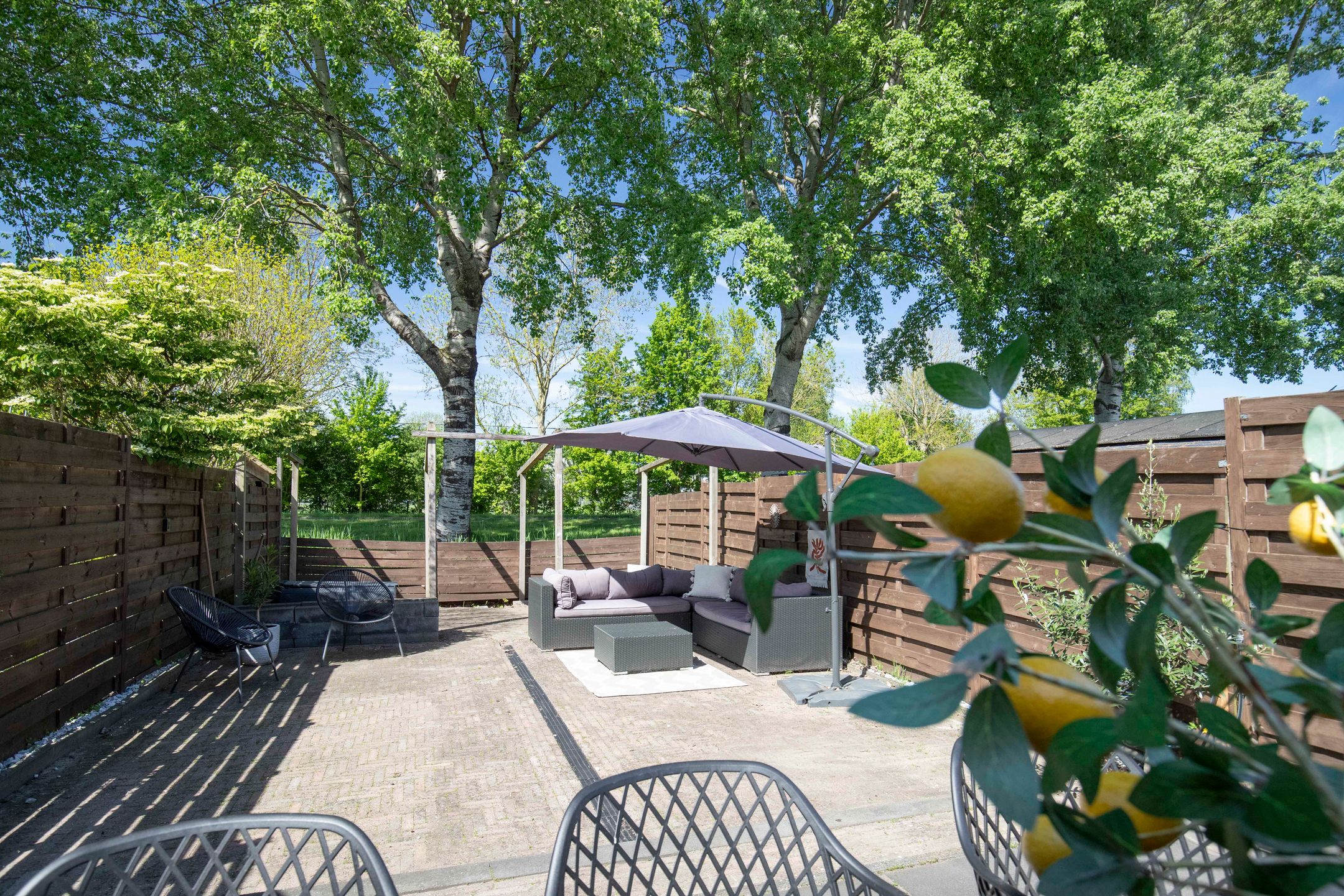 Foto 21 van De Roobol 23