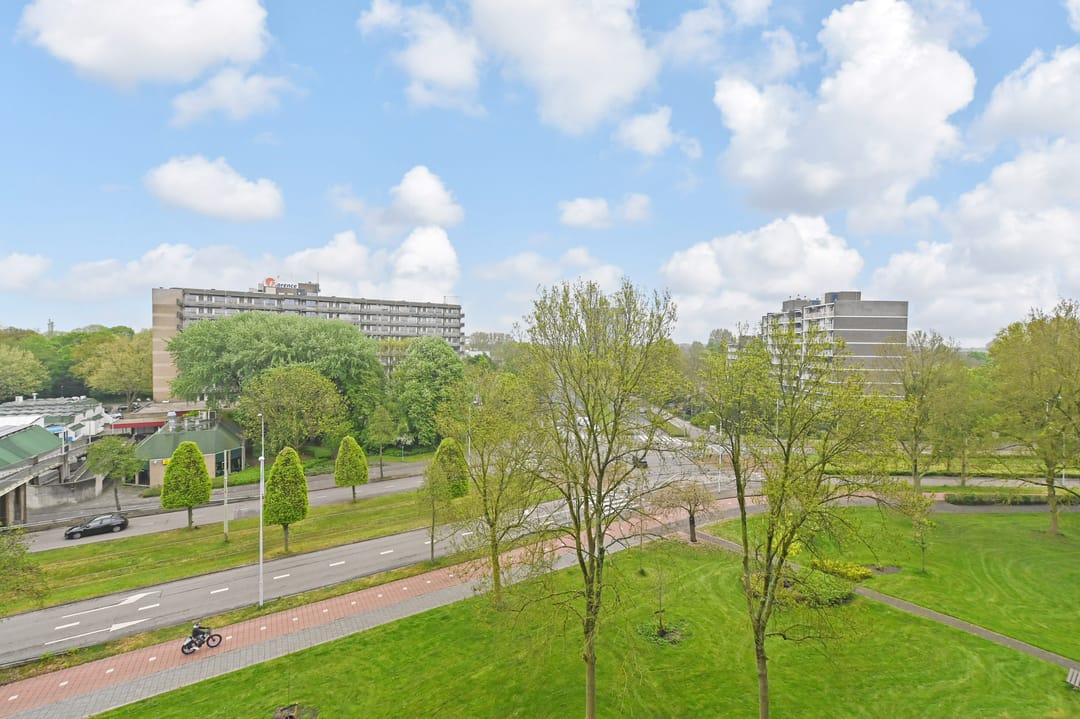 Foto 11 van Elzendreef 203