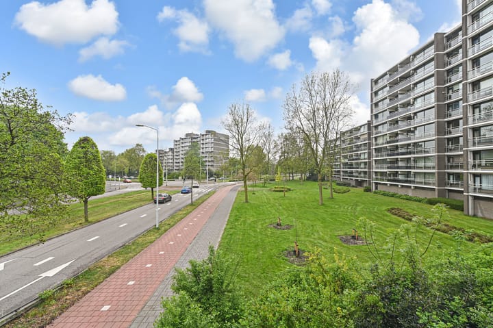 Foto 22 van Elzendreef 203