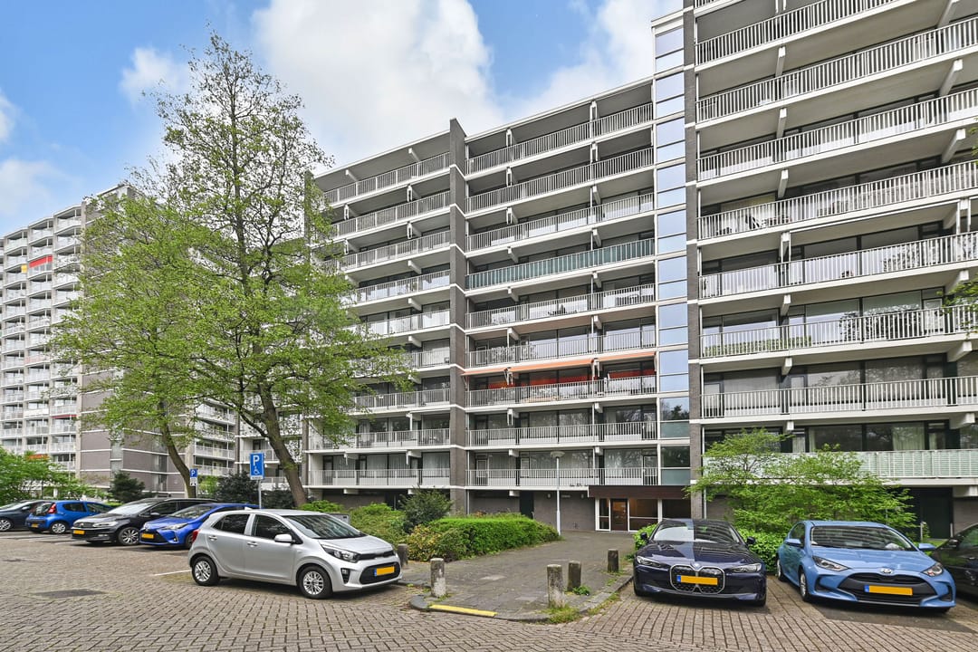 Foto 23 van Elzendreef 203