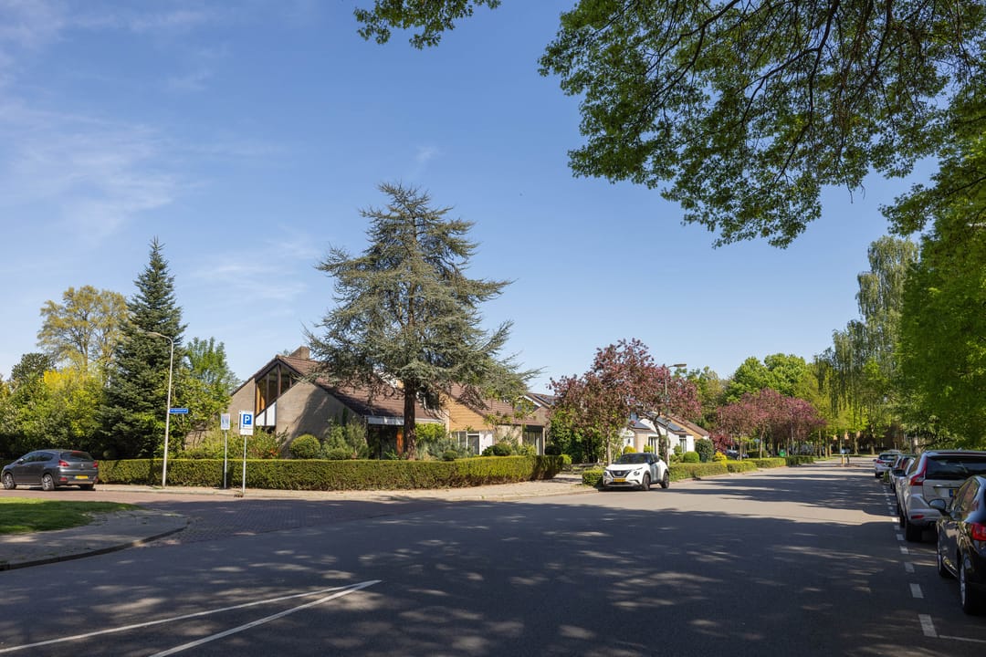 Foto 38 van Boerhaavelaan 40