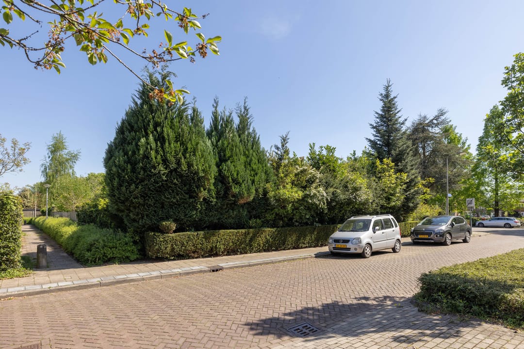 Foto 43 van Boerhaavelaan 40