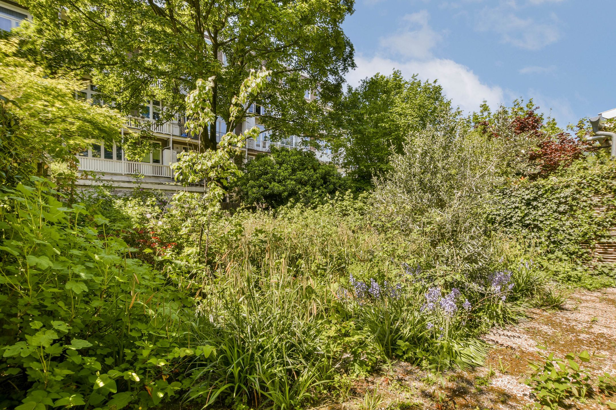 Foto 12 van Bestevâerstraat 9-H