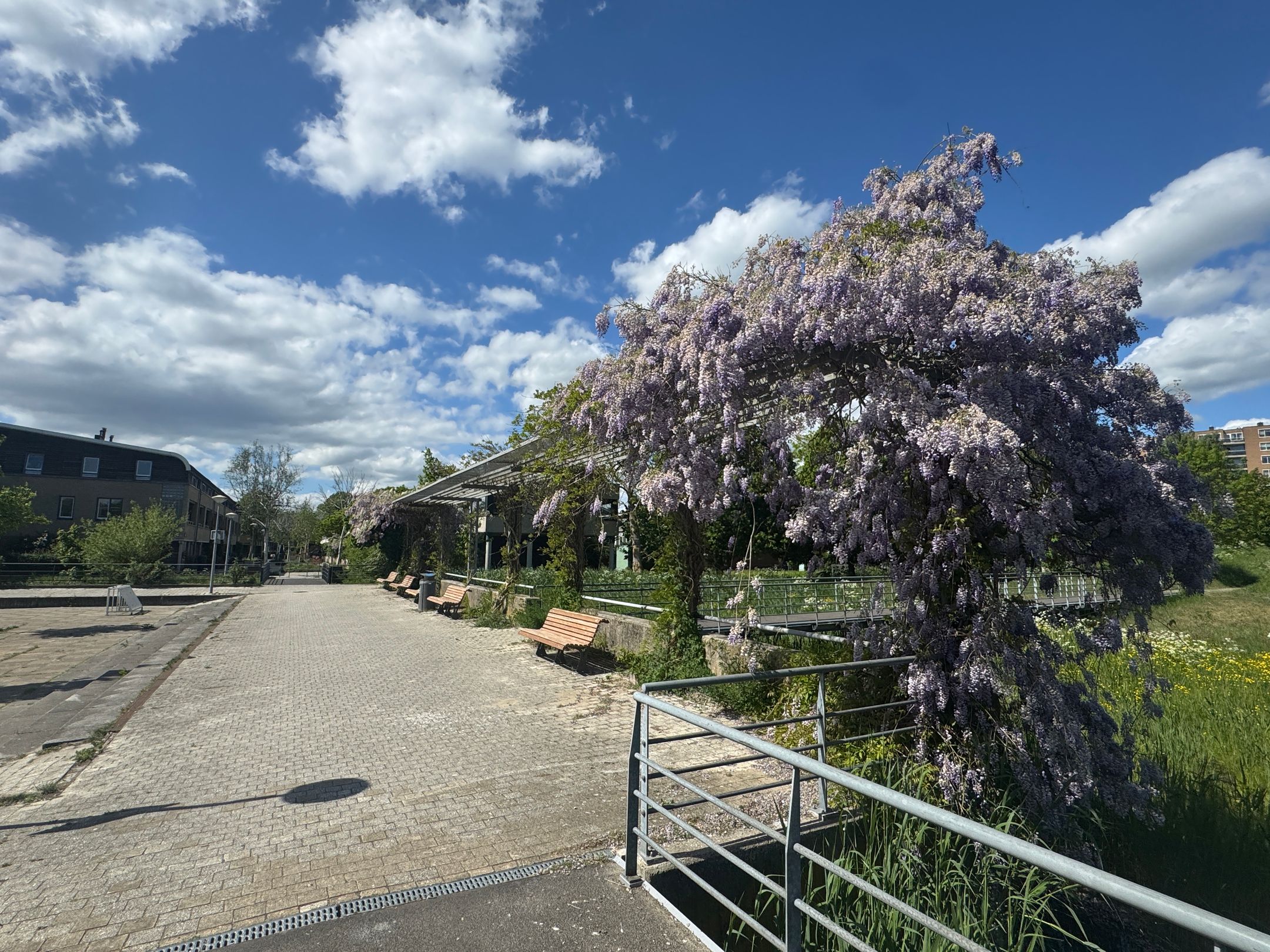 Foto 33 van Bep van Klaverenboulevard 42