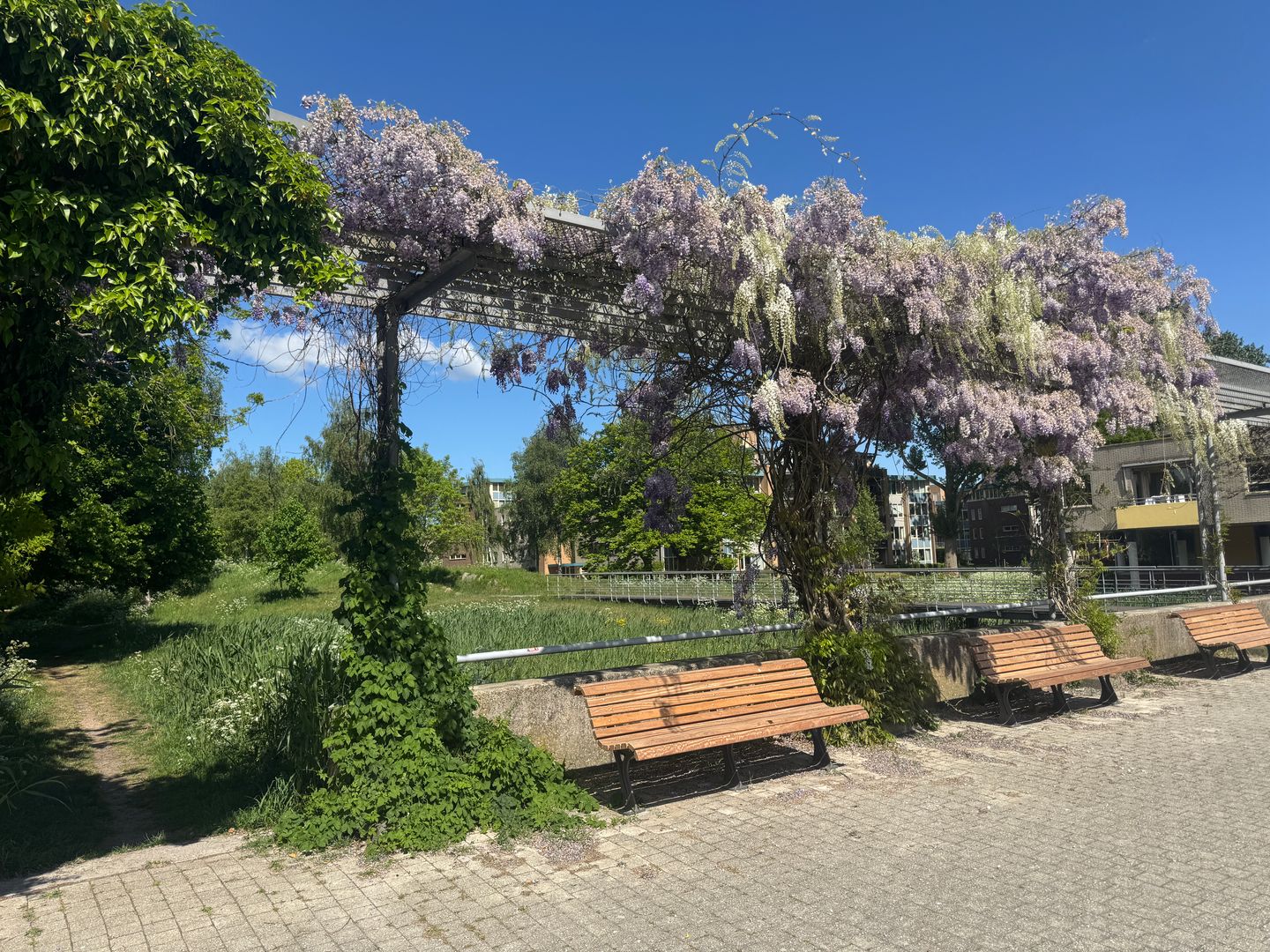 Foto 34 van Bep van Klaverenboulevard 42