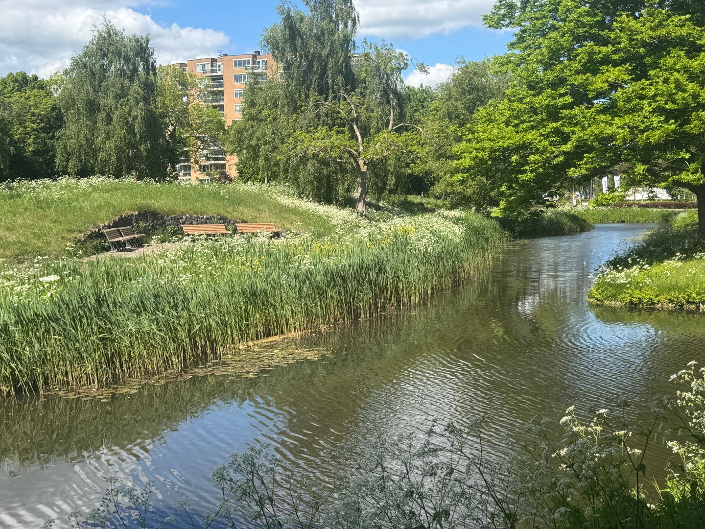 Foto 35 van Bep van Klaverenboulevard 42