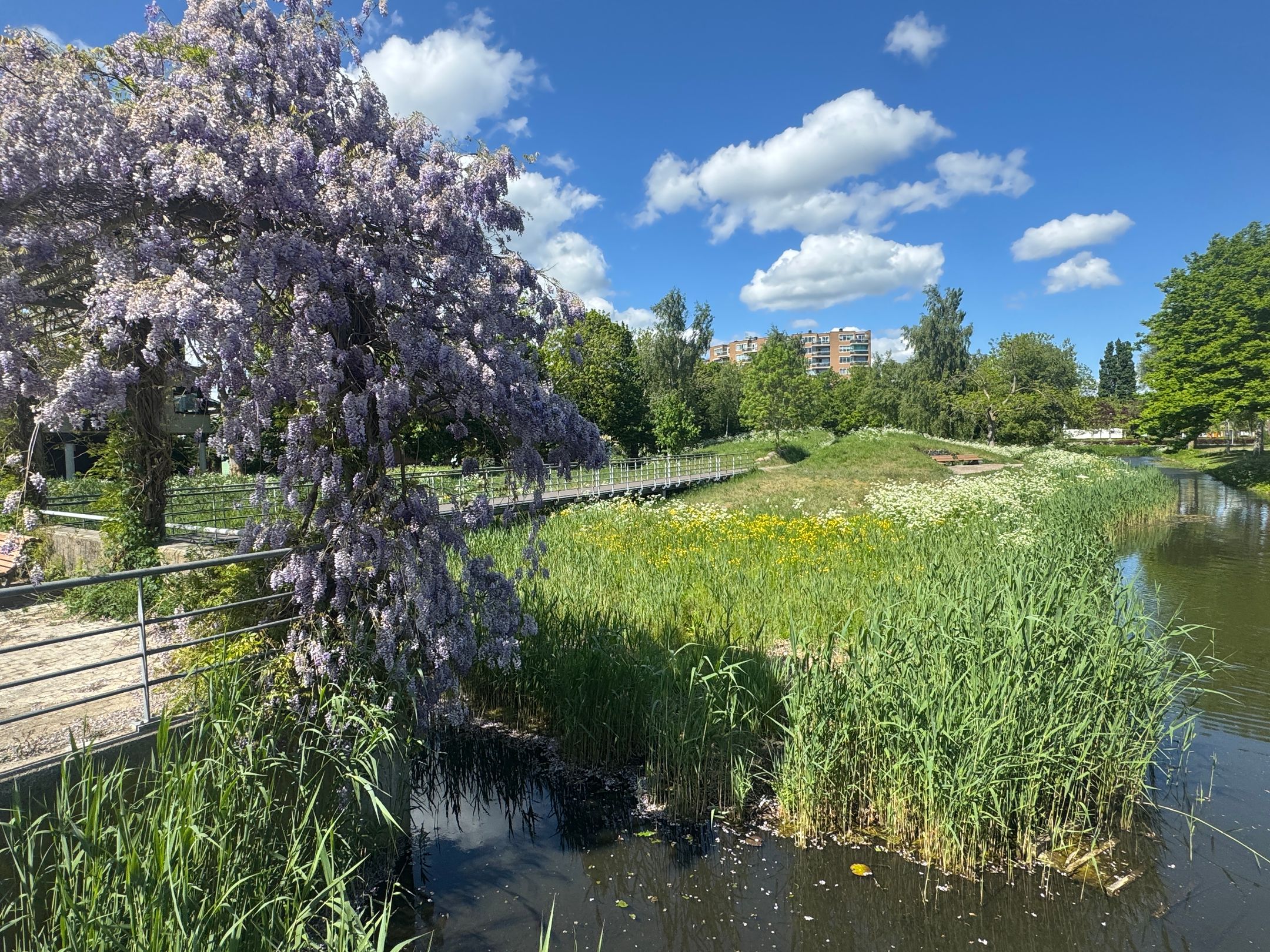 Foto 36 van Bep van Klaverenboulevard 42