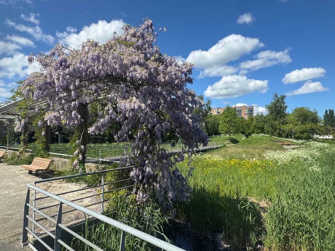 Foto 37 van Bep van Klaverenboulevard 42