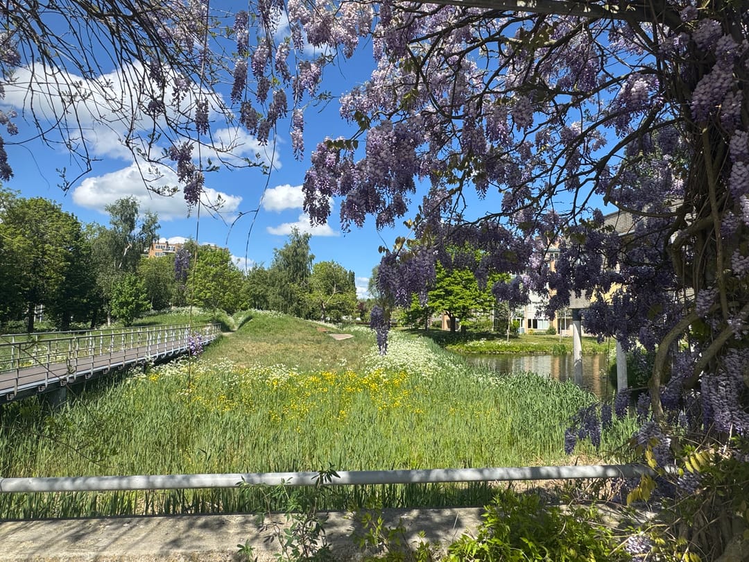 Foto 38 van Bep van Klaverenboulevard 42