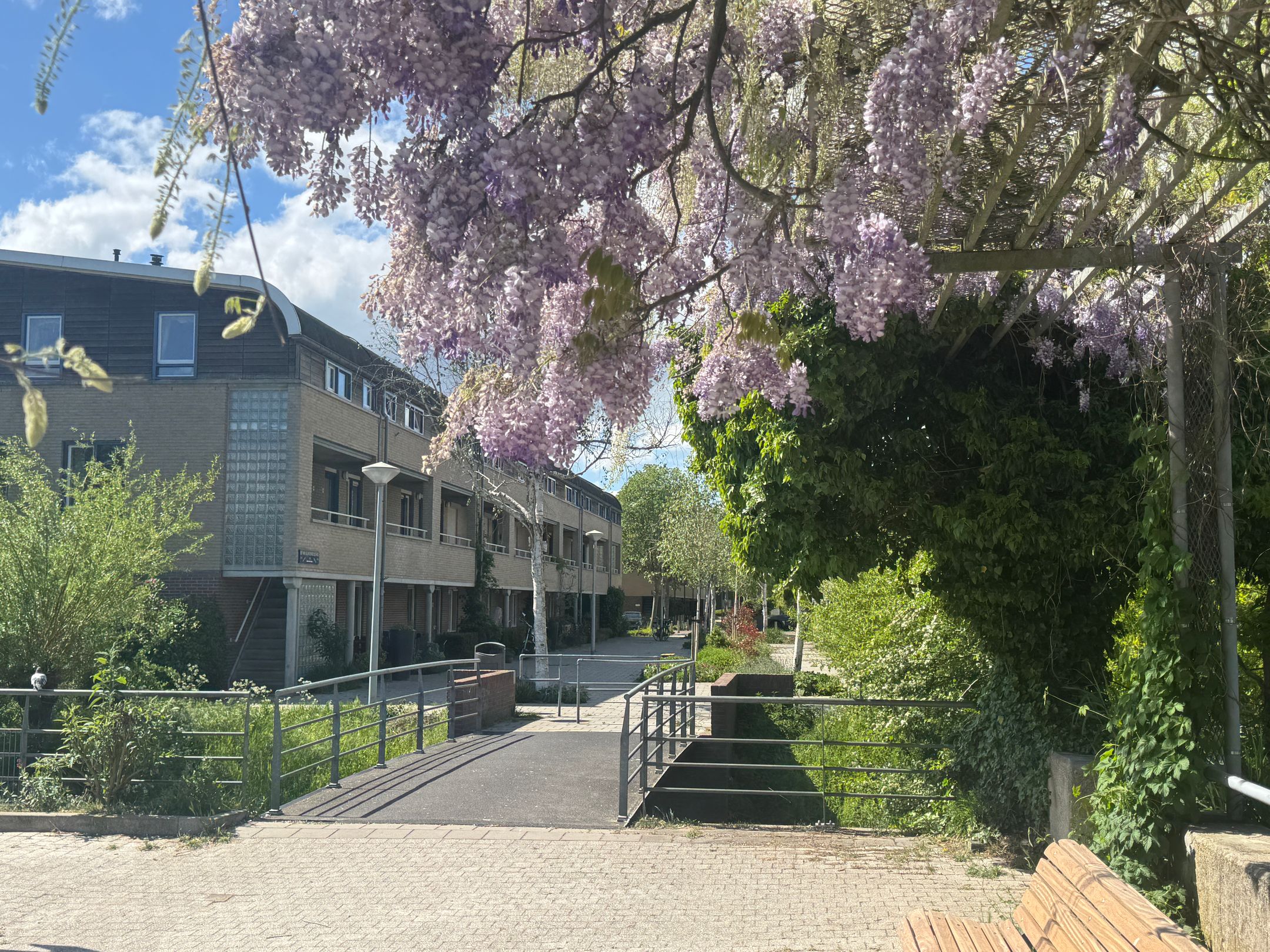 Foto 3 van Bep van Klaverenboulevard 42