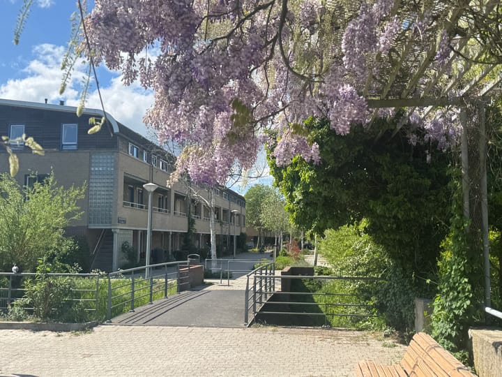 Foto 3 van Bep van Klaverenboulevard 42